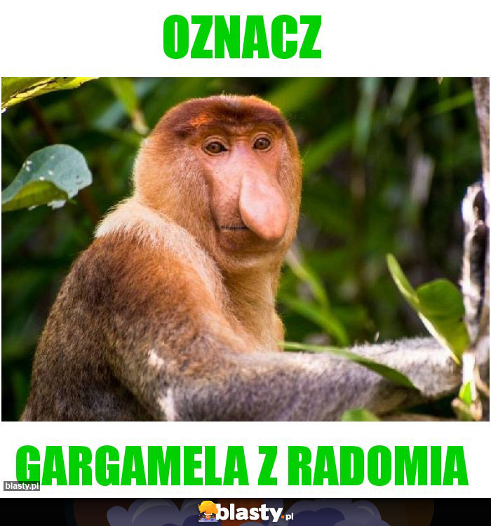 OZNACZ