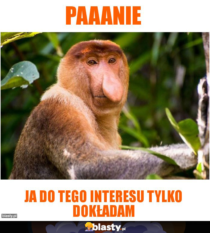 PAAANIE