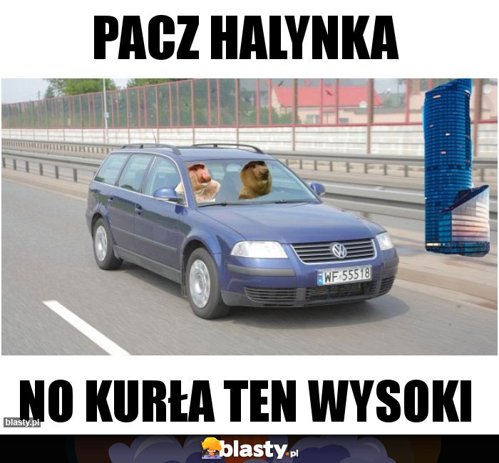 Pacz Halynka