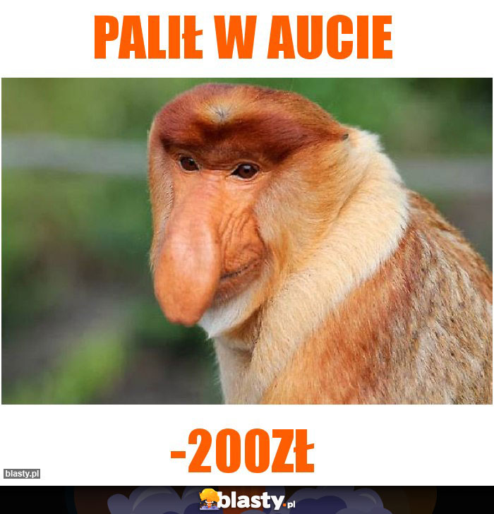 Palił w aucie