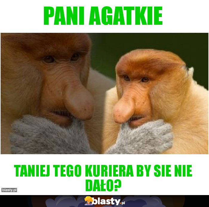 Pani Agatkie