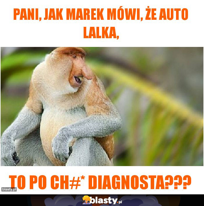 Pani, jak Marek mówi, że auto lalka,