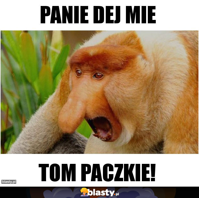 Panie dej mie