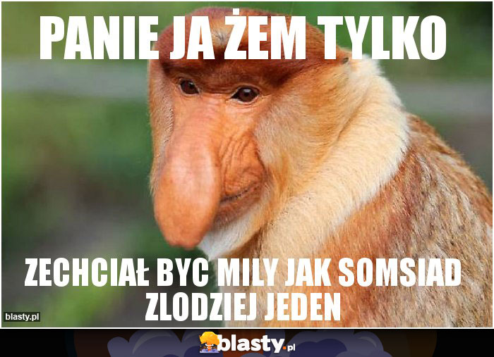 PANIE JA ŻEM TYLKO