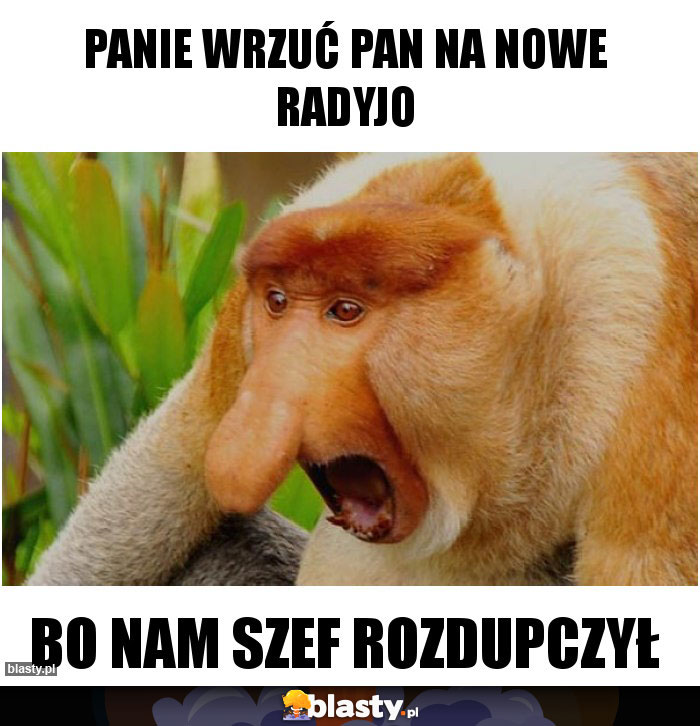 Panie wrzuć pan na nowe radyjo