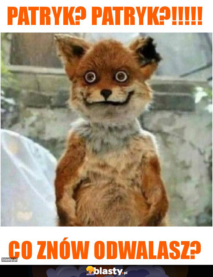 PATRYK? PATRYK?!!!!!