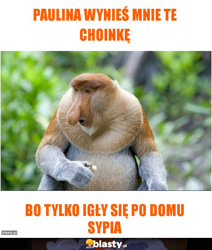 Paulina wynieś mnie te choinkę