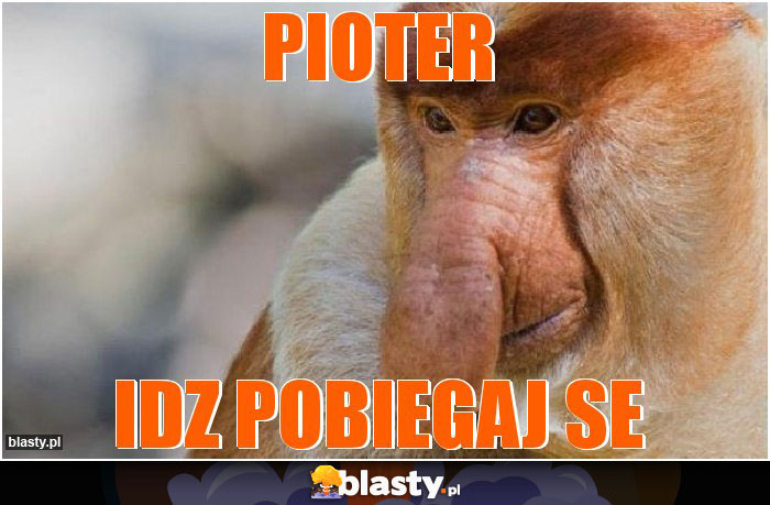 Pioter