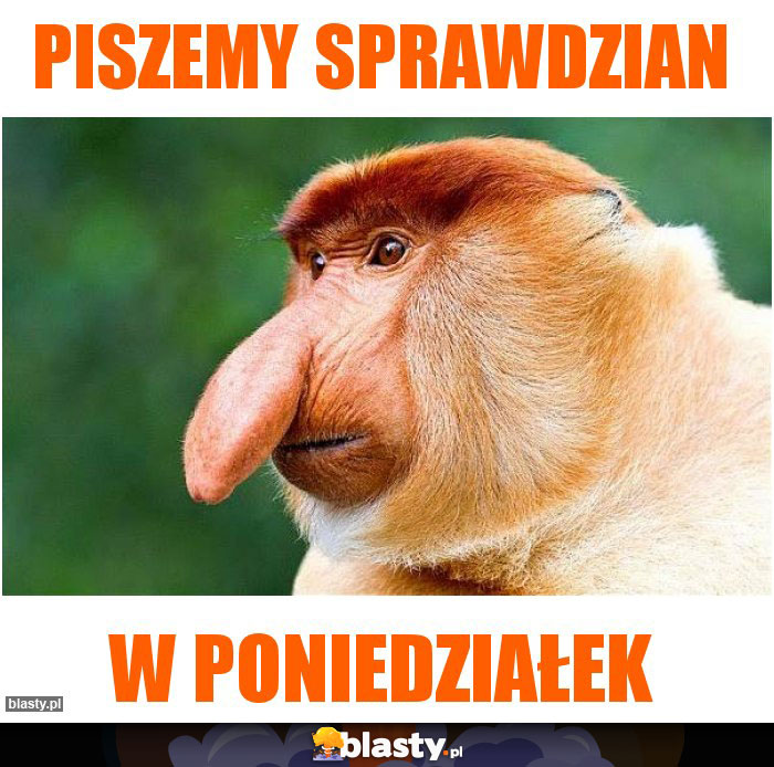 Piszemy sprawdzian
