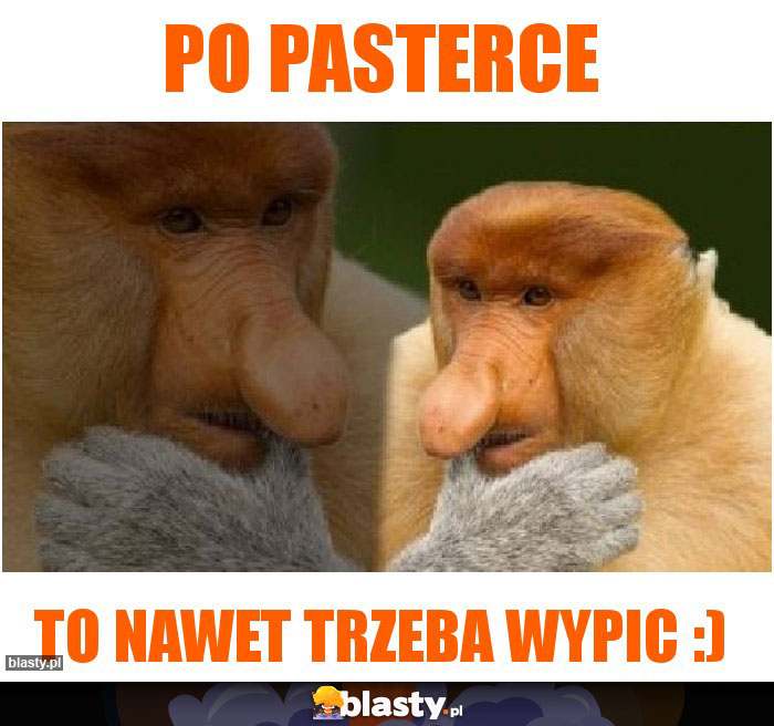 Po pasterce