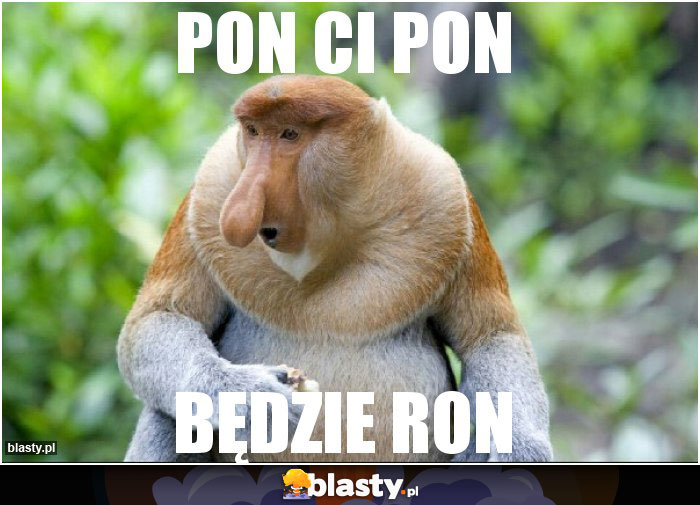 Pon ci pon