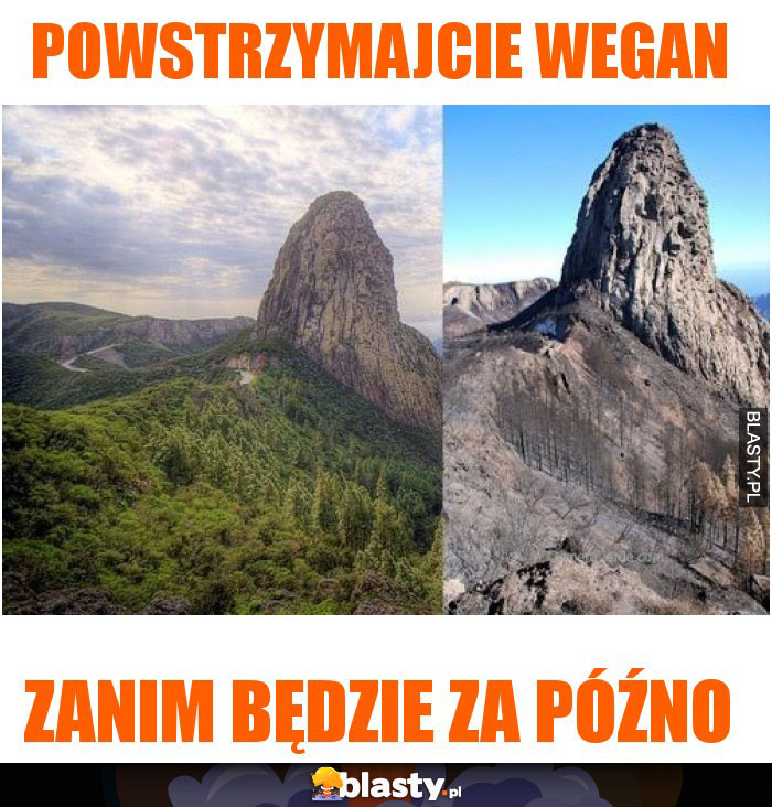 Powstrzymajcie wegan