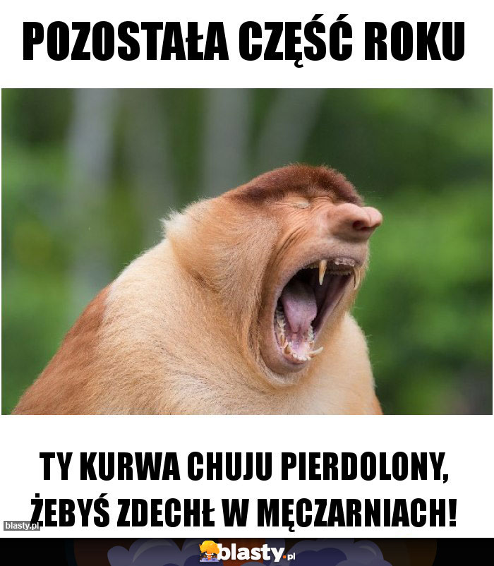 Pozostała część roku