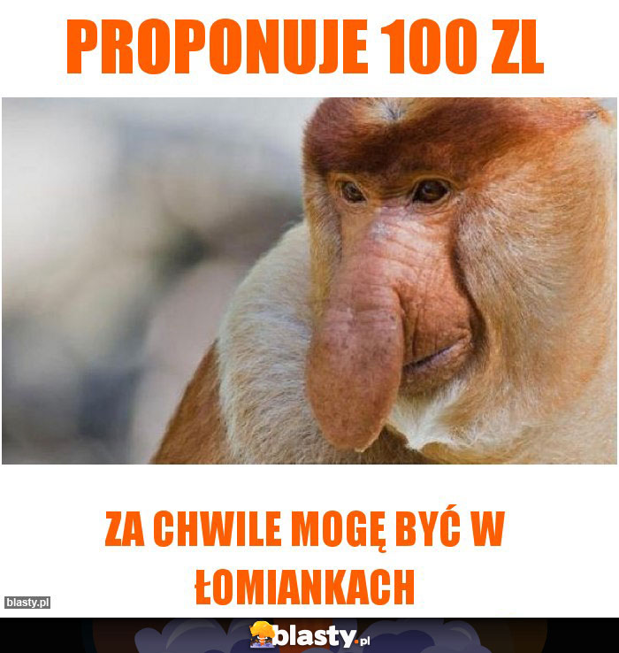 Proponuje 100 zl