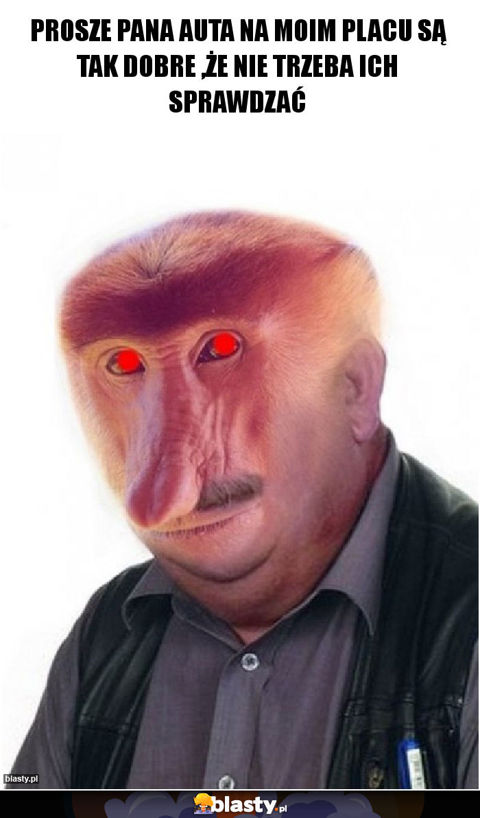 Prosze pana auta na moim placu są tak dobre ,że nie trzeba ich sprawdzać