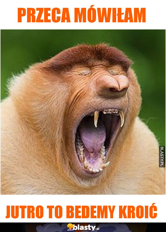 PRZECA MÓWIŁAM