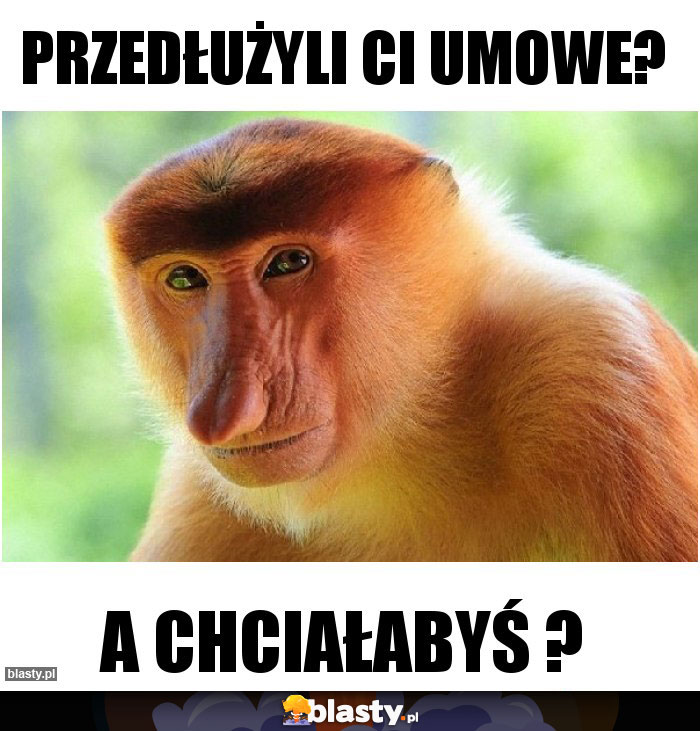 PRZEDŁUŻYLI CI UMOWE?