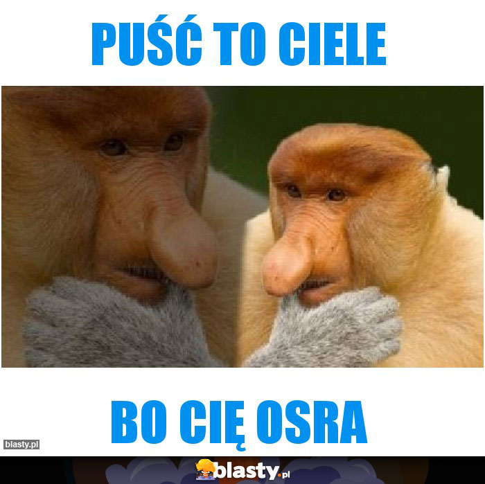 Puść to ciele