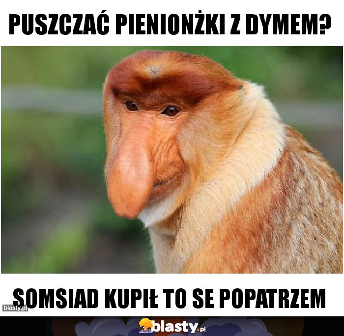 PUSZCZAĆ PIENIONŻKI Z DYMEM?