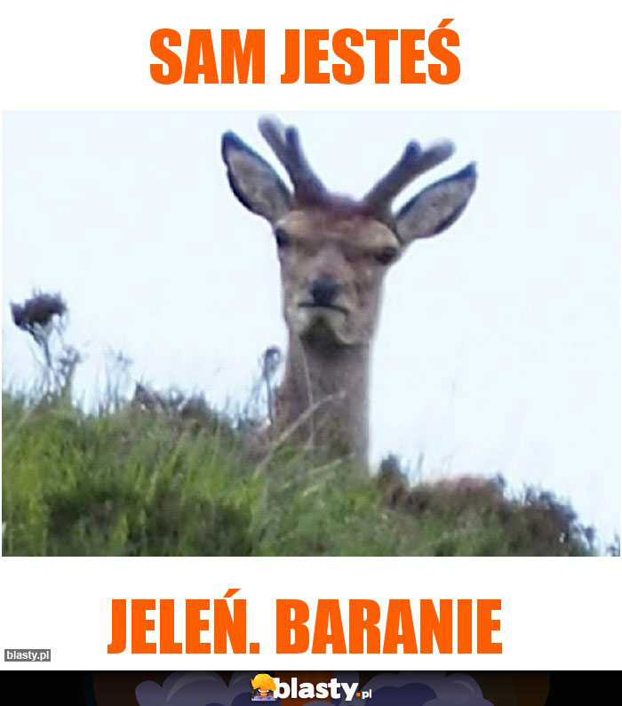 Sam jesteś