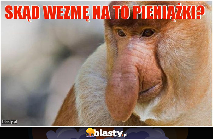 SKĄD WEZMĘ NA TO PIENIĄŻKI?