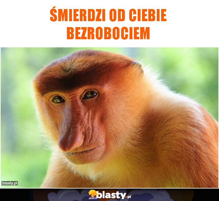 Śmierdzi od Ciebie bezrobociem