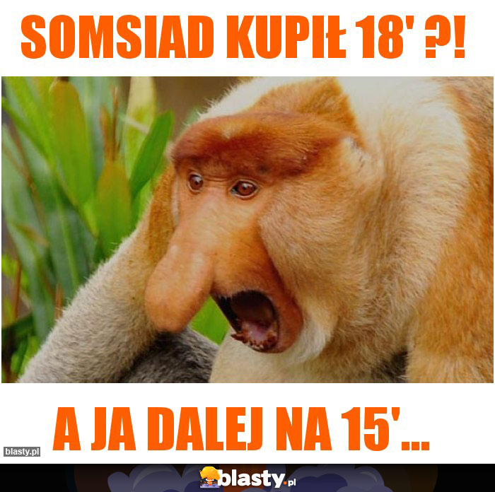 Somsiad kupił 18' ?!