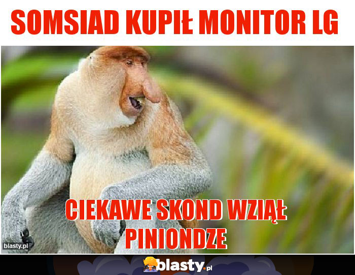 Somsiad kupił monitor Lg