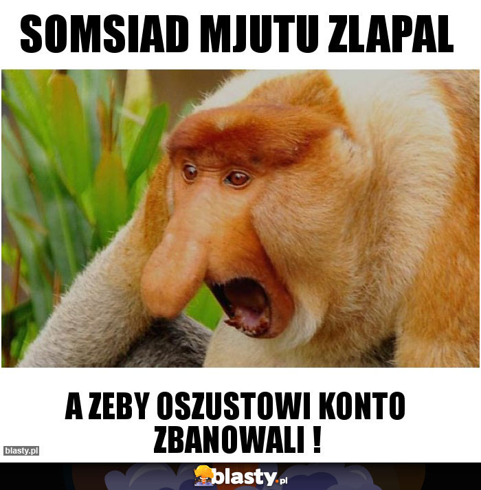 Somsiad mjutu zlapal