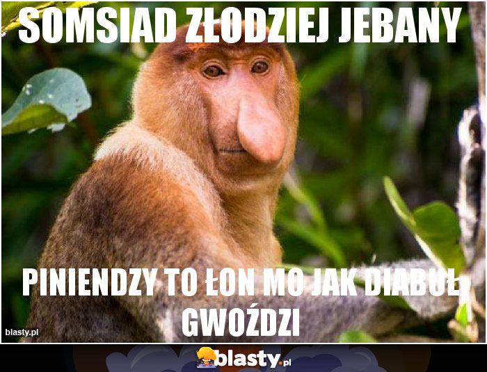 Somsiad złodziej jebany