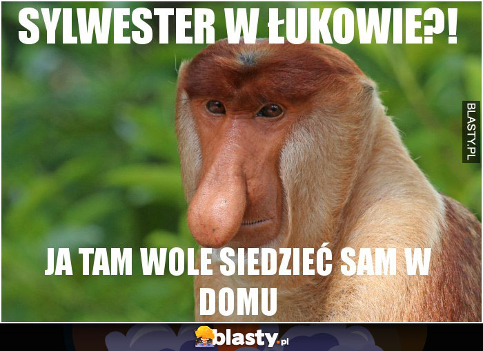 SYLWESTER w łukowie?!