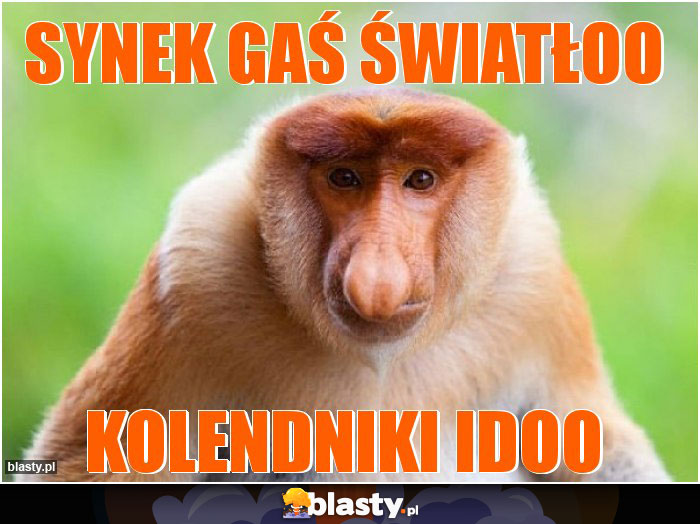 Synek gaś światłoo