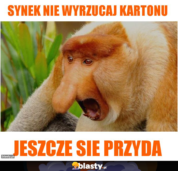 synek nie wyrzucaj kartonu