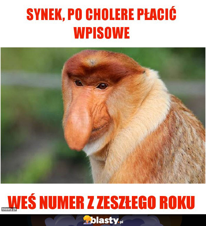 SYNEK, PO CHOLERE PŁACIĆ WPISOWE