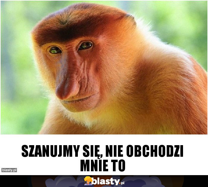 Szanujmy się, nie obchodzi mnie to