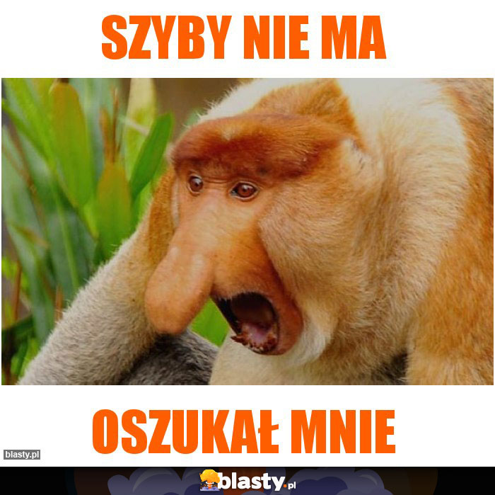 szyby nie ma