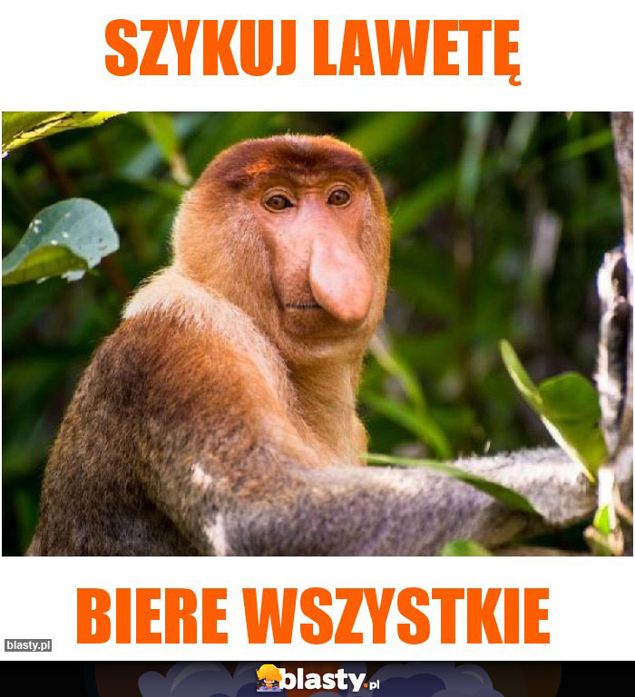 Szykuj lawetę