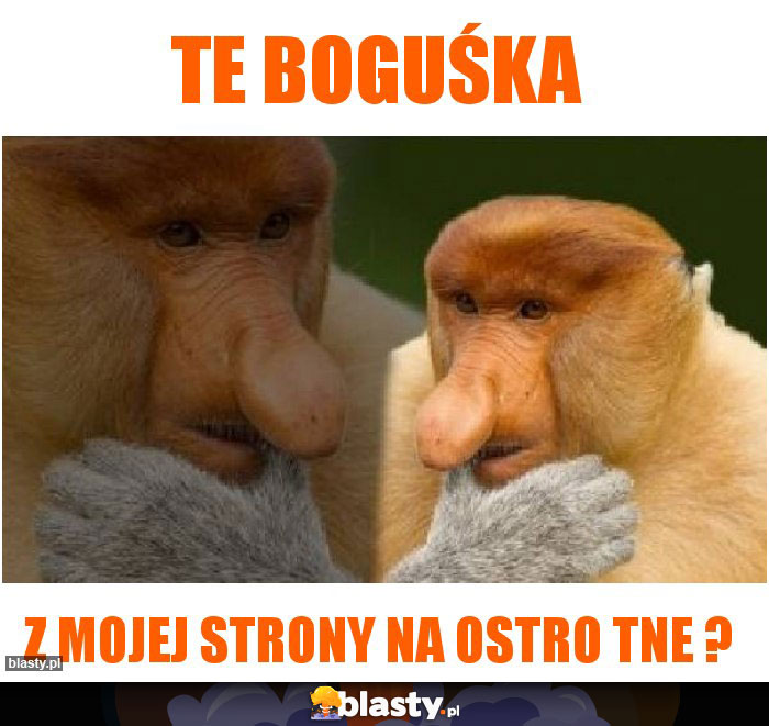Te boguśka