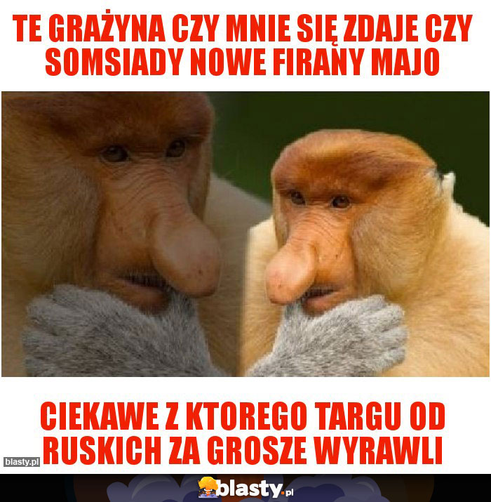 Te grażyna czy mnie się zdaje czy somsiady nowe firany majo