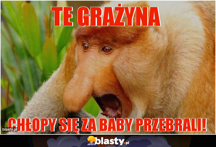 TE GRAŻYNA