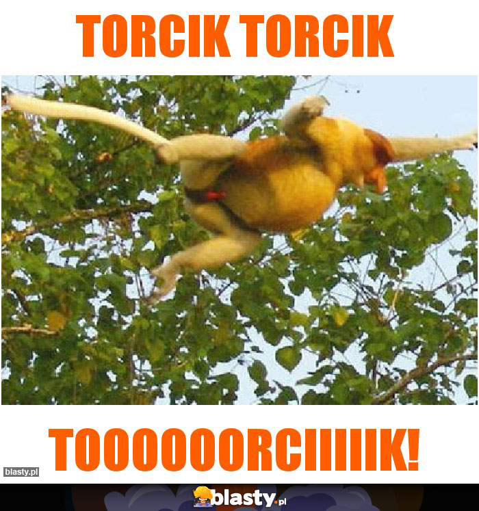 Torcik torcik