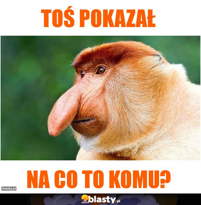 Toś pokazał