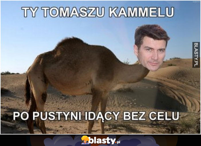 Ty Tomaszu Kamelu po pustyni idący bez celu