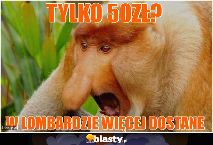 tylko 50zł?