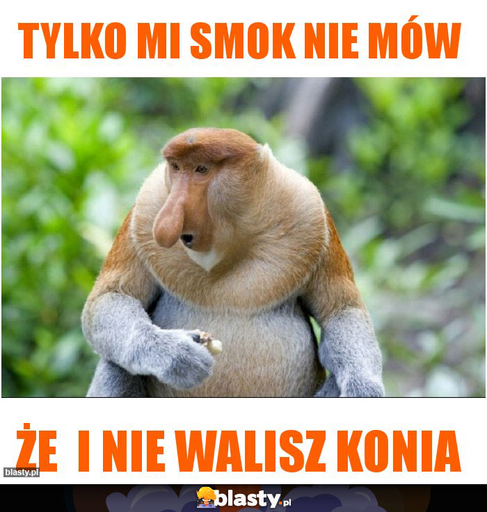 Tylko mi smok nie mów