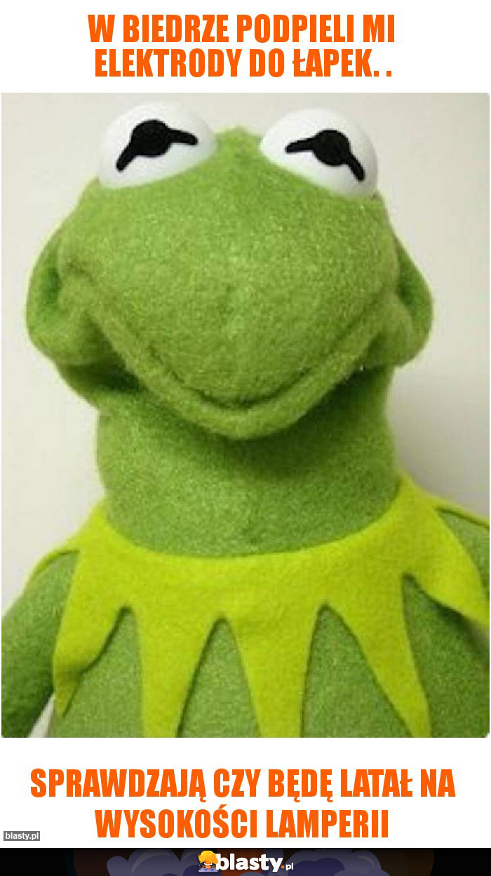 W biedrze podpieli mi elektrody do łapek. .