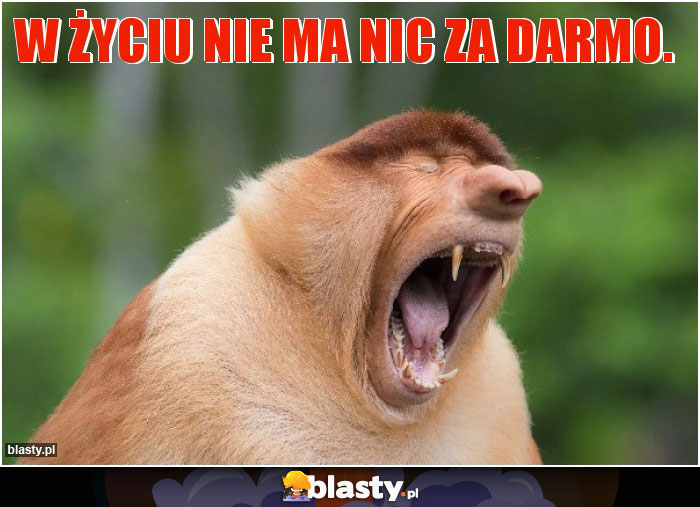 W życiu nie ma nic za darmo.