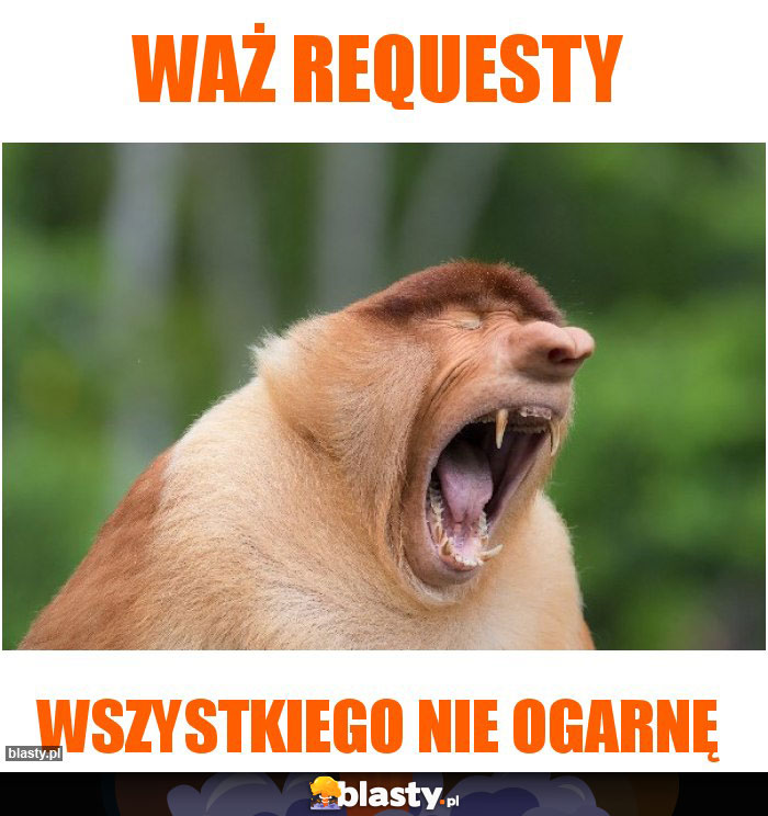 Waż requesty
