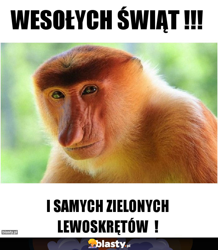 Wesołych Świąt !!!