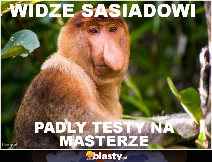 widze sasiadowi